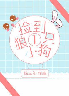 picked up a little wolf dog